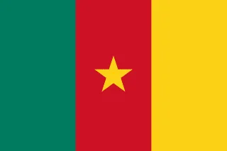 Drapeau Cameroun