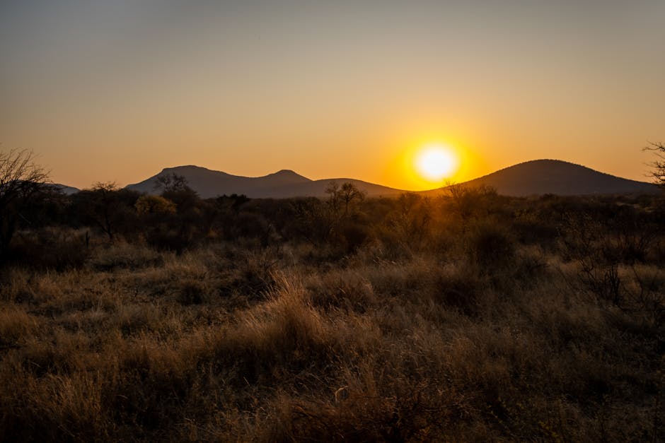 Bush africain Afrique du Sud — couverture réseau 4G