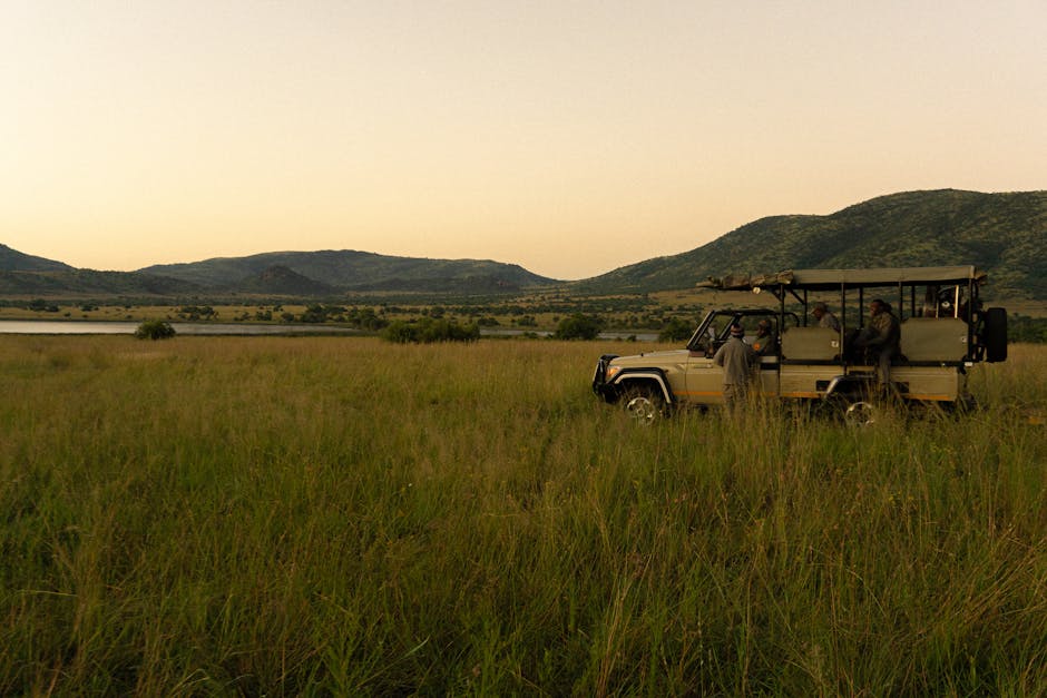 Jeep de safari Afrique du Sud — activation eSIM