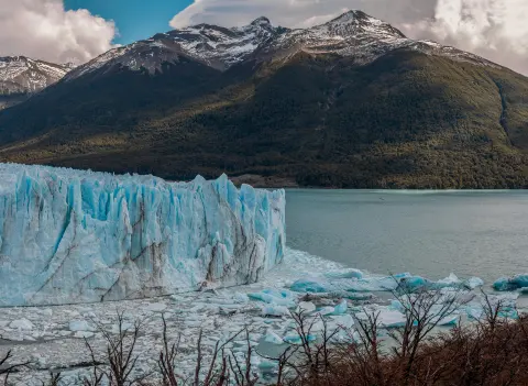 Argentine