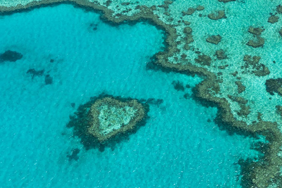 Grande Barrière de Corail Queensland Australie — eSIM et connexion
