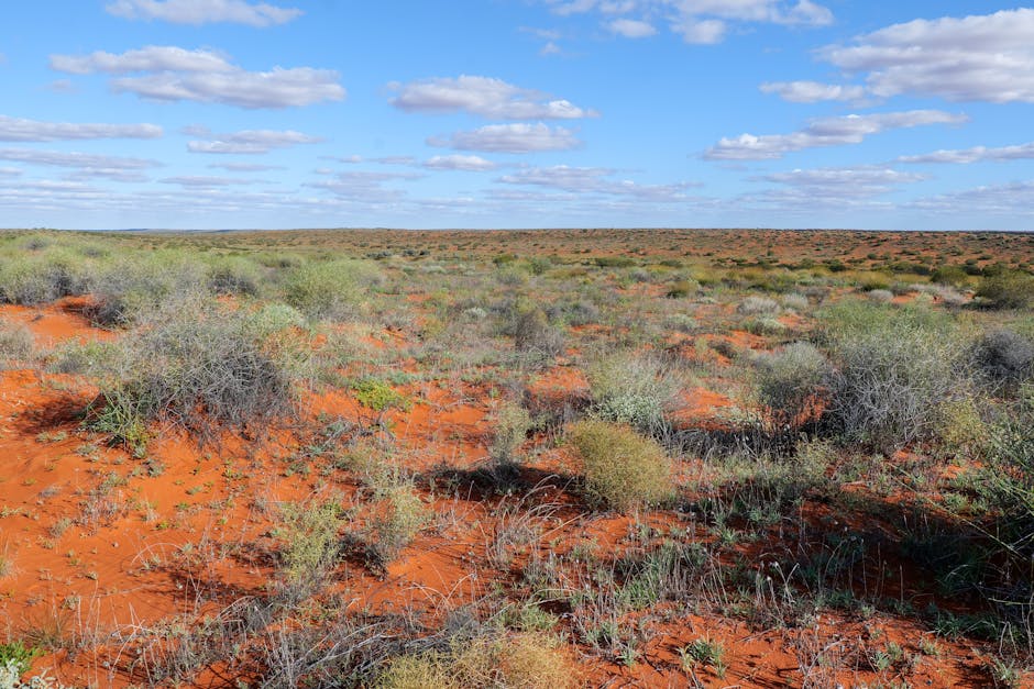Paysage Outback Australie — couverture réseau 4G 5G