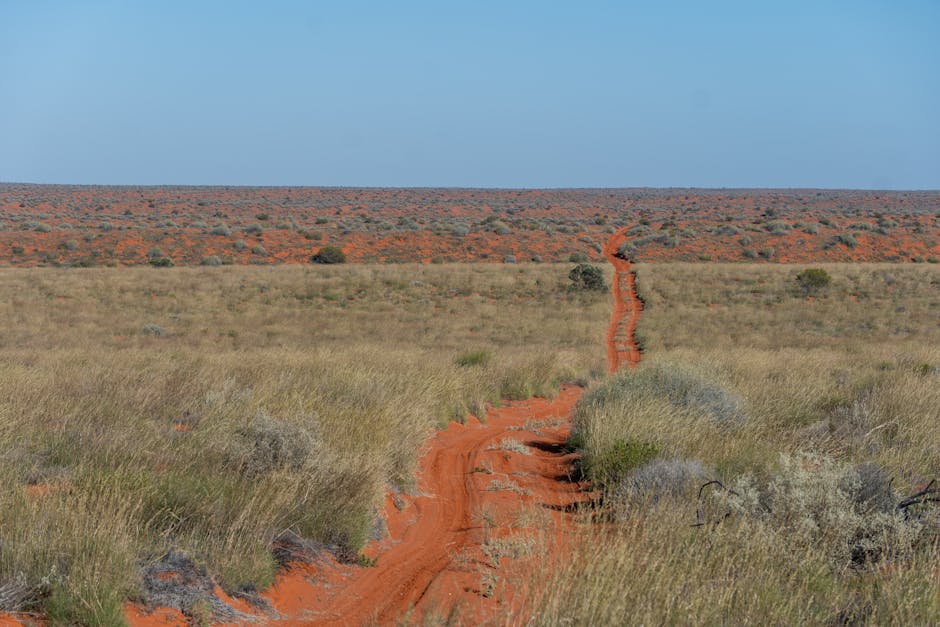 Smartphone en Outback Australie — compatibilité eSIM Band 28