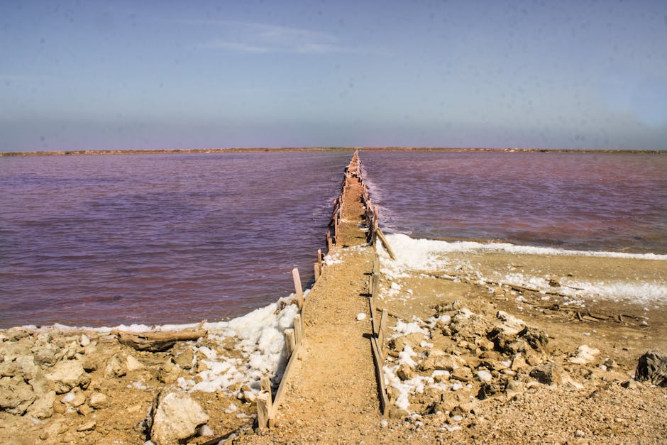 Kalahari Botswana paysage