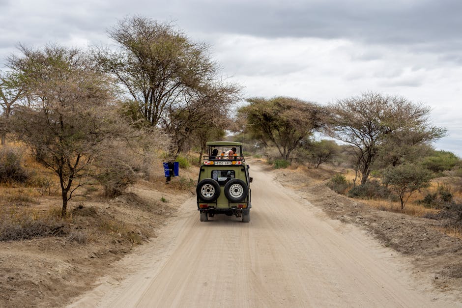 Safari 4x4 Botswana brousse