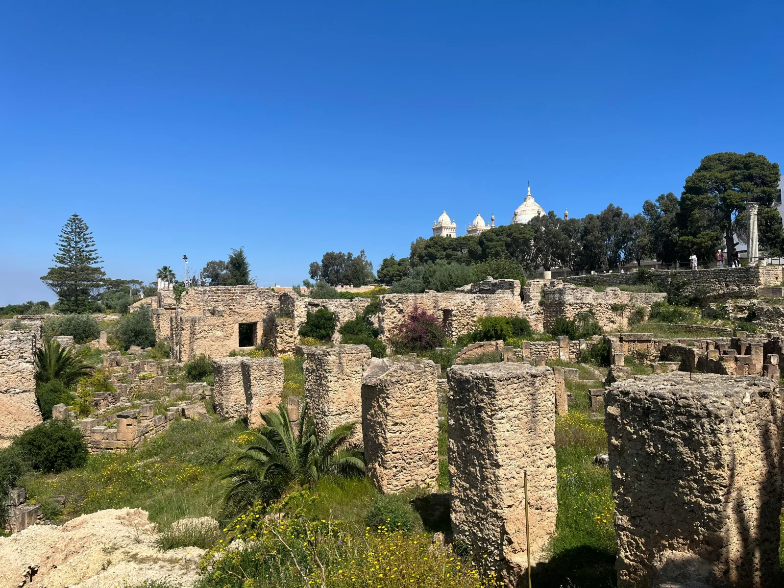 Ruines de Carthage — Tunisie