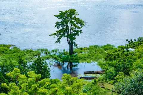 Congo