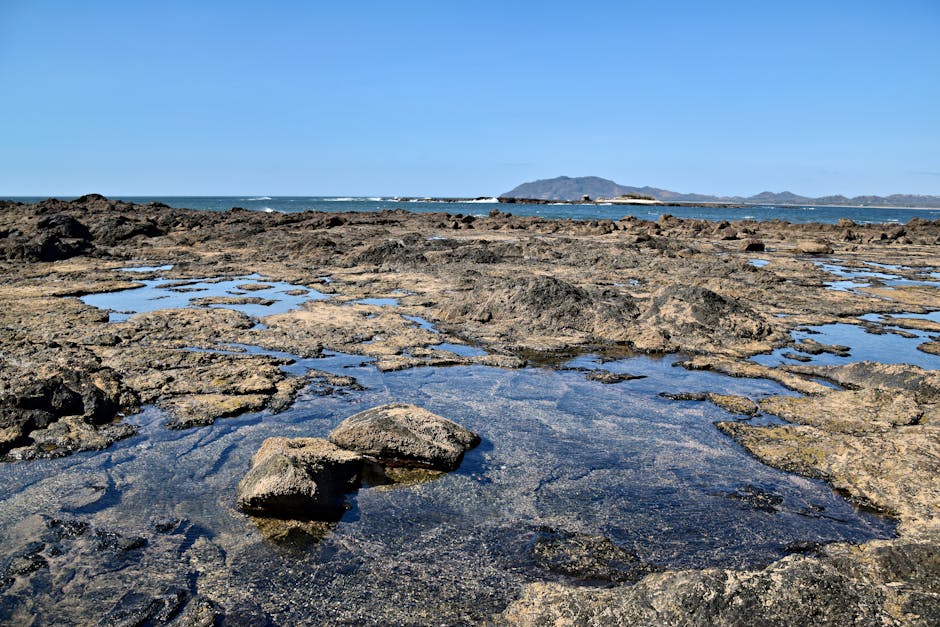 Surf à Tamarindo Costa Rica — eSIM et connexion 4G en Guanacaste