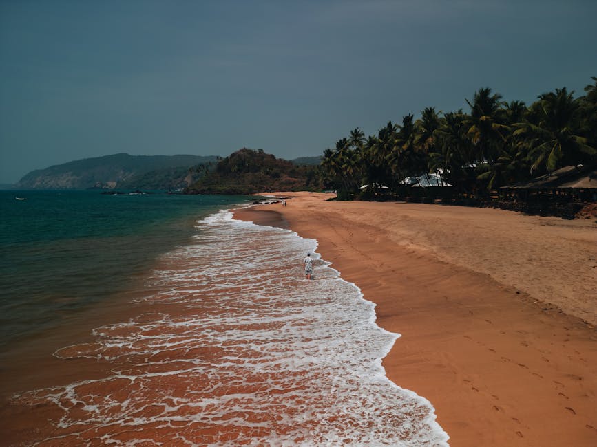Plage de Goa Inde — eSIM et connexion paradise
