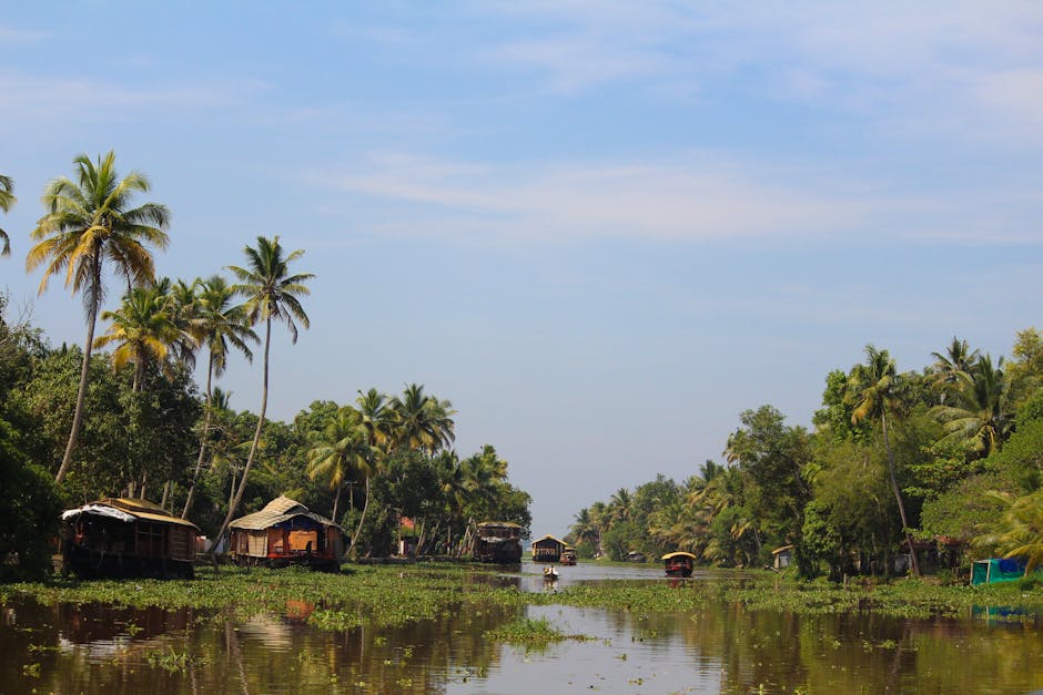 Backwaters du Kerala Inde — eSIM et connexion