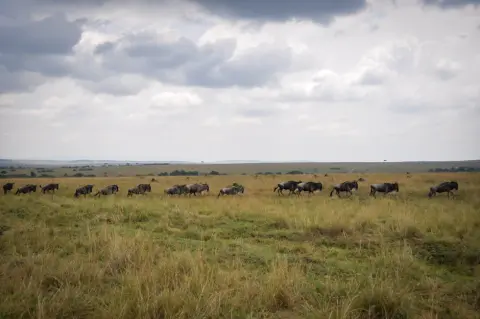 Kenya