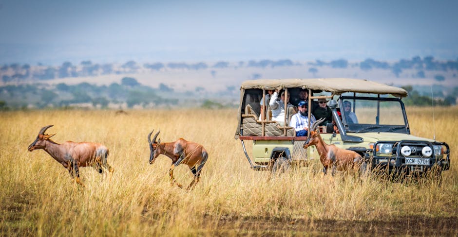 Smartphone en safari Kenya — activation eSIM Kenya