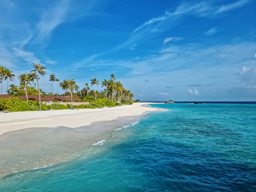 Île locale des Maldives avec lagon turquoise — eSIM et connexion