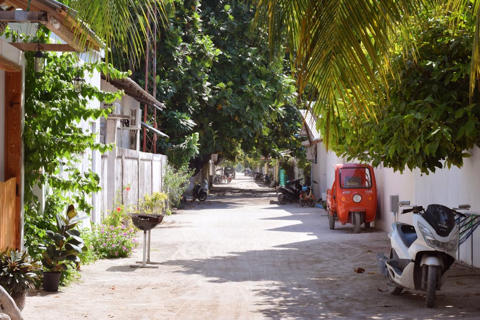 Île locale Maldives — eSIM ou SIM Dhiraagu ?