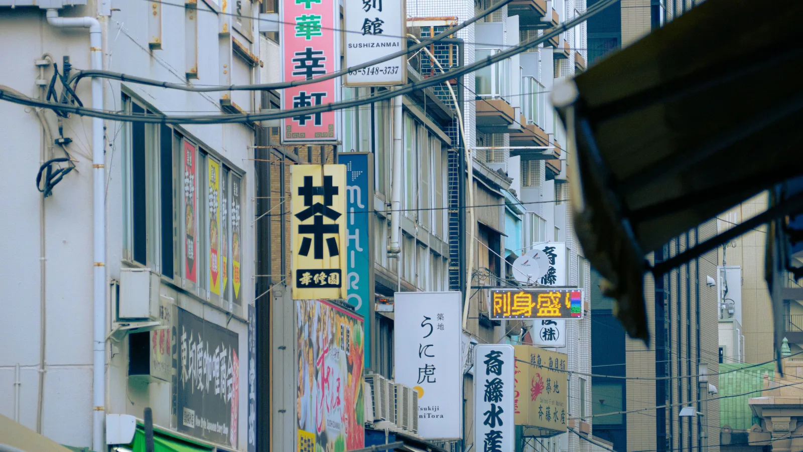 Voyageur connecté au Japon avec son smartphone