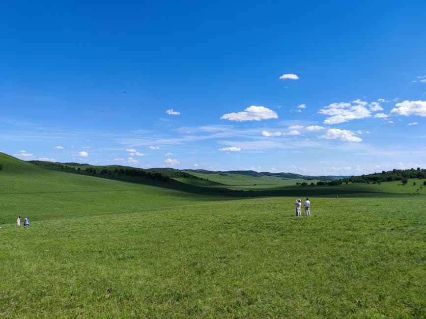 Steppe Mongolie paysage — couverture réseau Mobicom