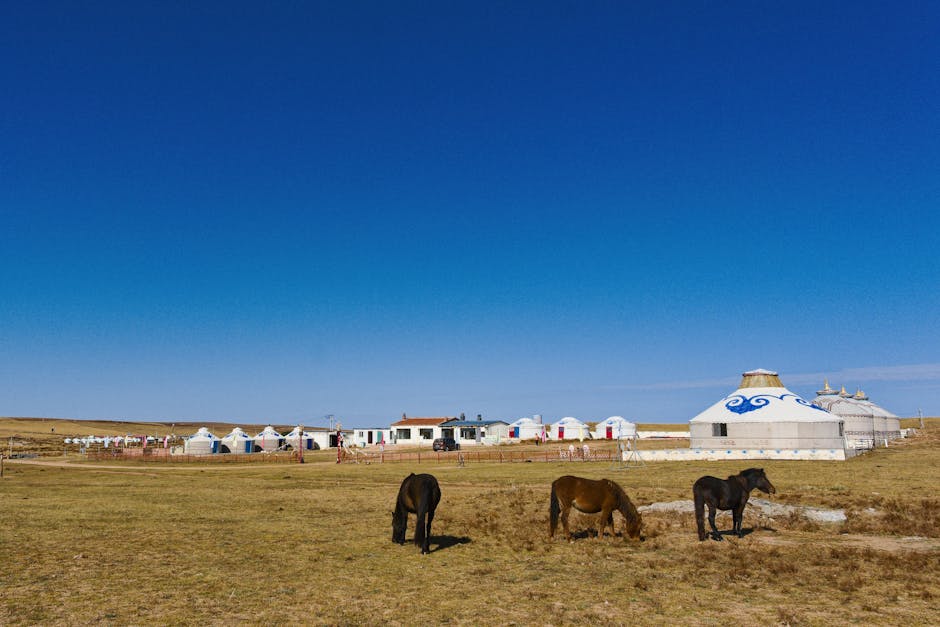 Steppe Mongolie chevaux — meilleure eSIM pour le circuit