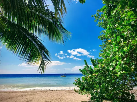 Martinique
