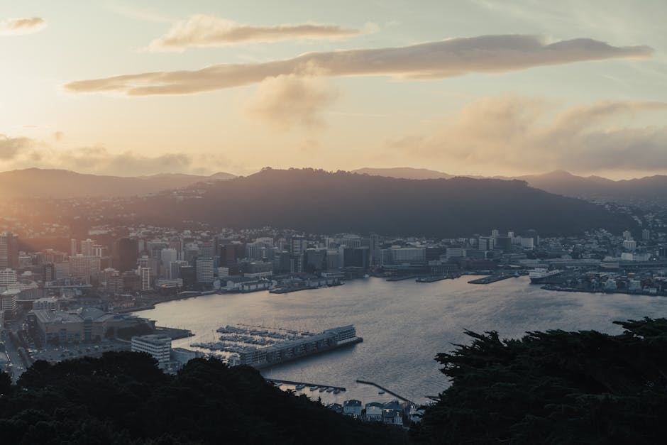 Wellington Harbour Nouvelle-Zélande — eSIM et connexion 4G+
