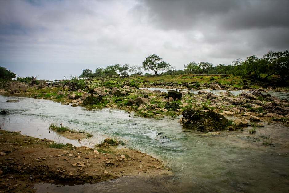 Salalah khareef mousson verdure Oman — eSIM et connexion 4G Dhofar