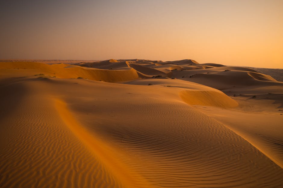 Dunes Wahiba Sands Oman — meilleure eSIM pour le circuit