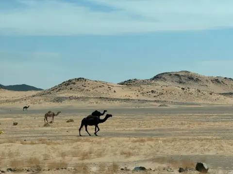 Arabie Saoudite