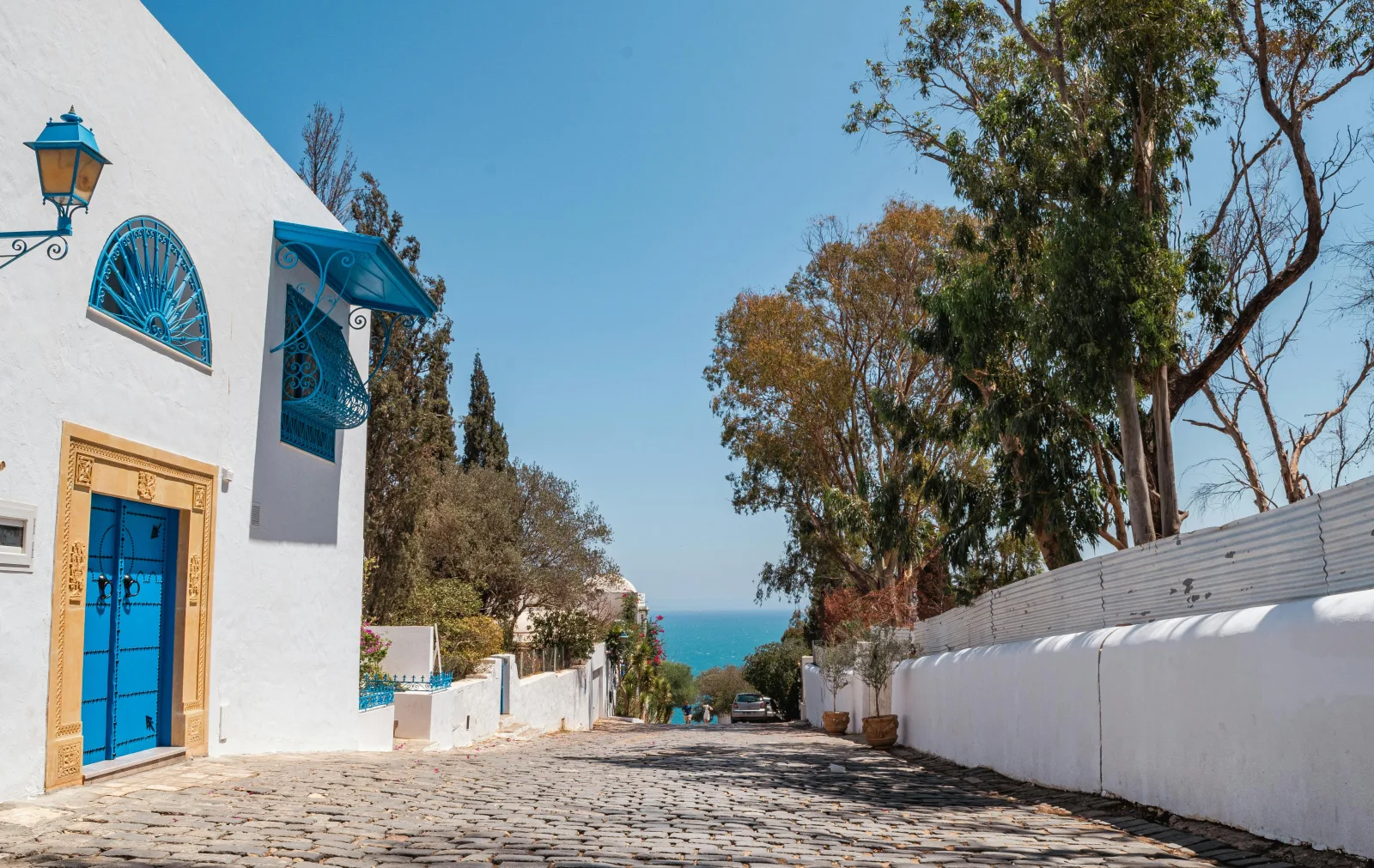 Sidi Bou Saïd — Tunisie