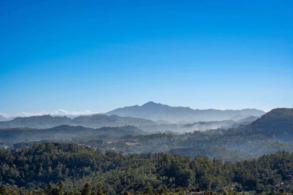 Paysage vert Sri Lanka — couverture réseau 4G