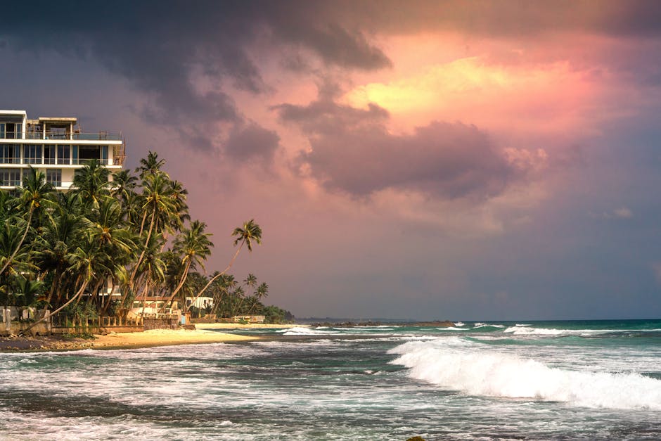 Plage tropicale du Sri Lanka — eSIM et connexion sur la côte