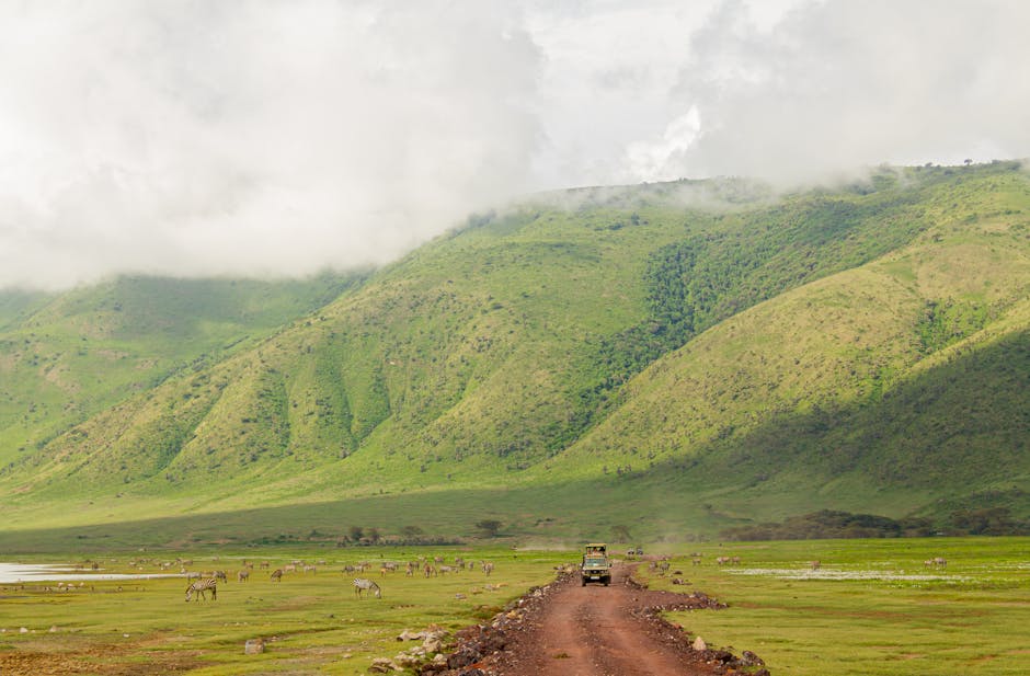 Cratère du Ngorongoro Tanzanie — couverture réseau 4G