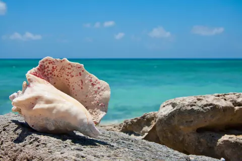 Îles Turks-et-Caïcos