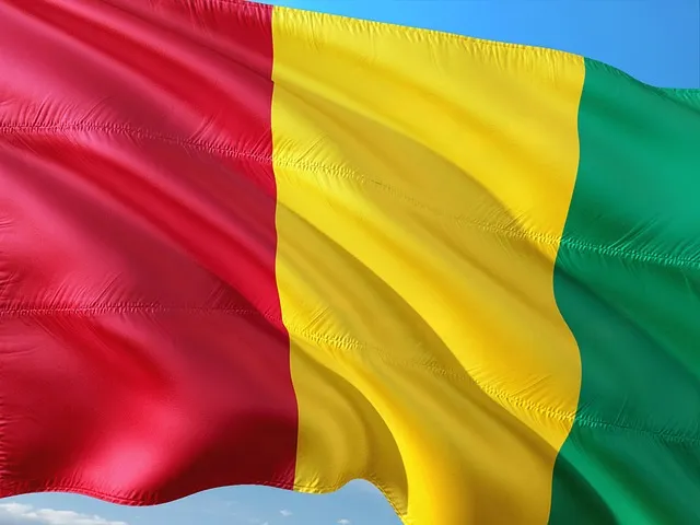 Comparatif eSIM Guinée