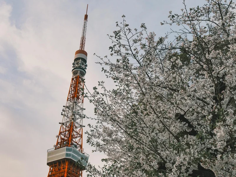 eSIM Japon — Tokyo, Osaka, Kyoto
