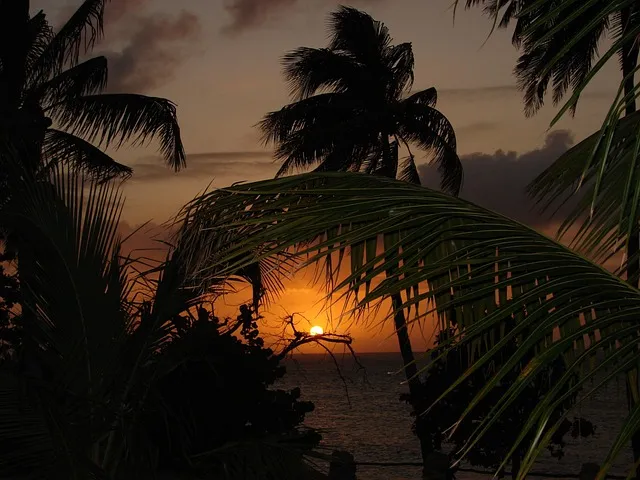 Comparatif eSIM Saint-Kitts
