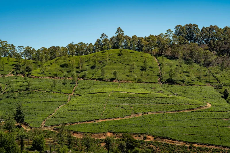 eSIM Sri Lanka