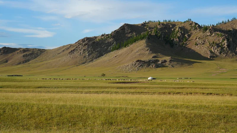 Comparatif eSIM Mongolie