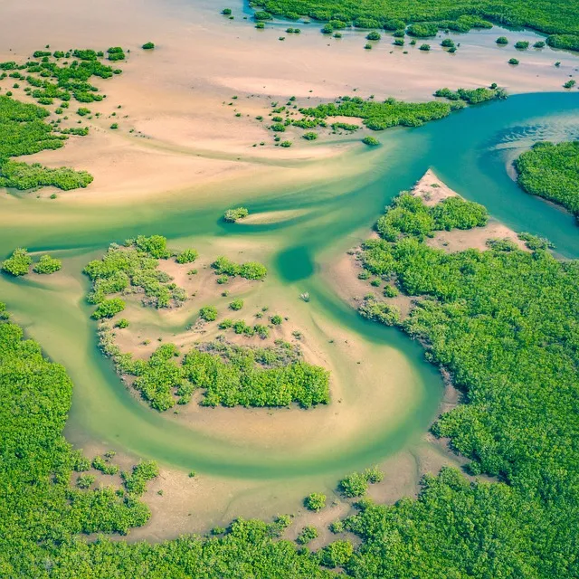 Drapeau du Sénégal — guide eSIM Sénégal 2026