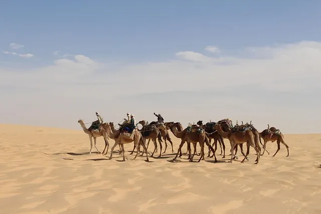 Comparatif eSIM Tchad